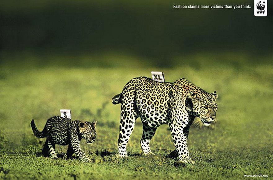 leopard-size
