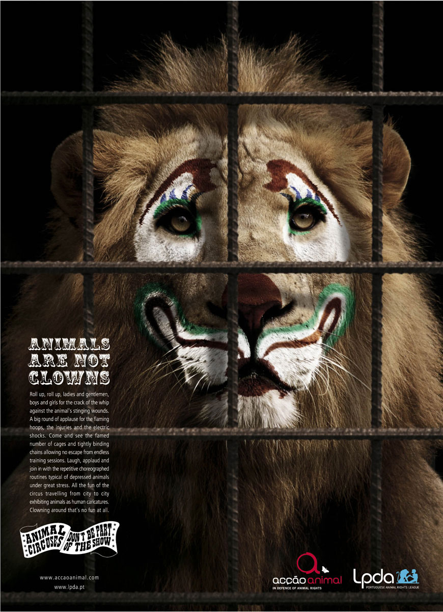 lion-clown