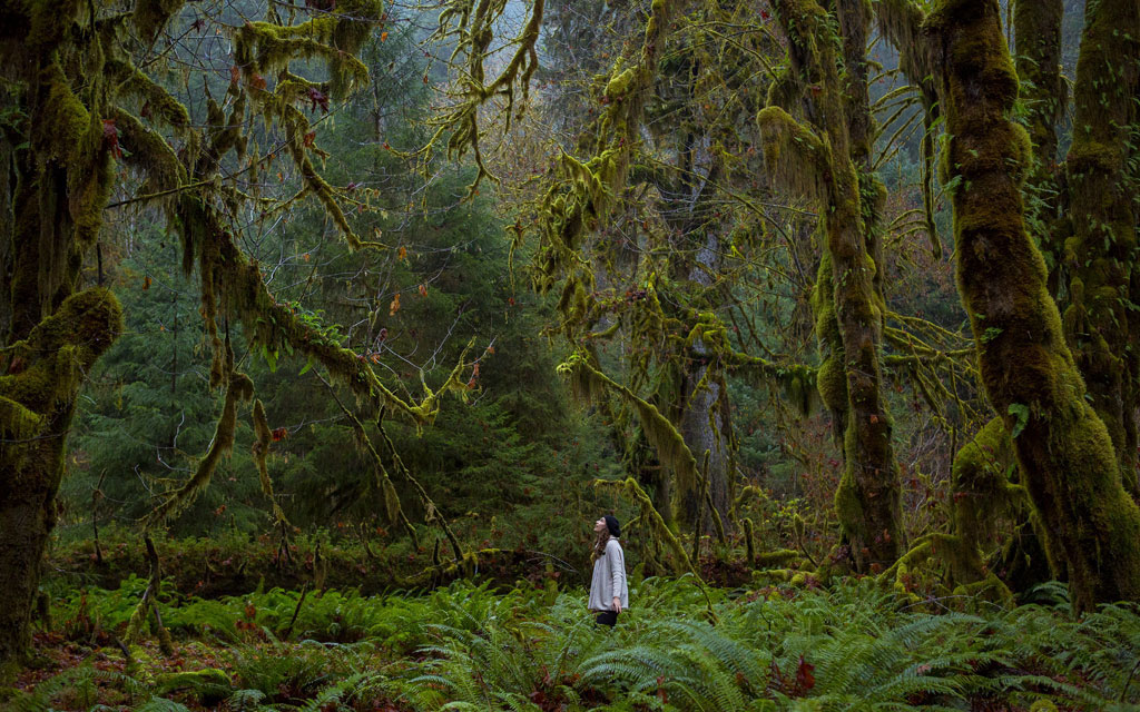 olympic-national-park