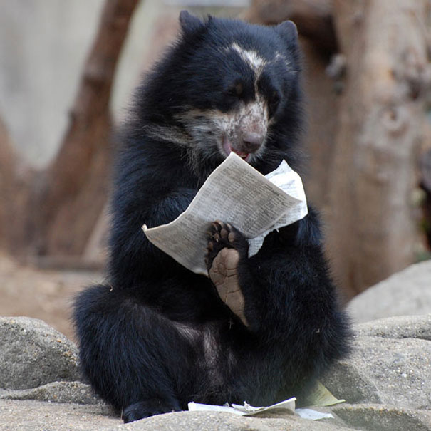 ours-journal