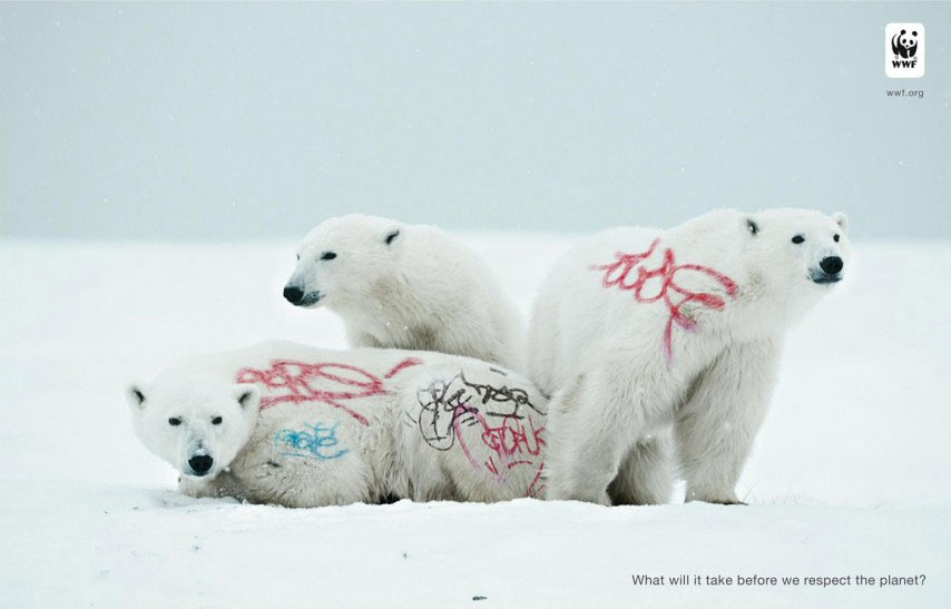ours-tag