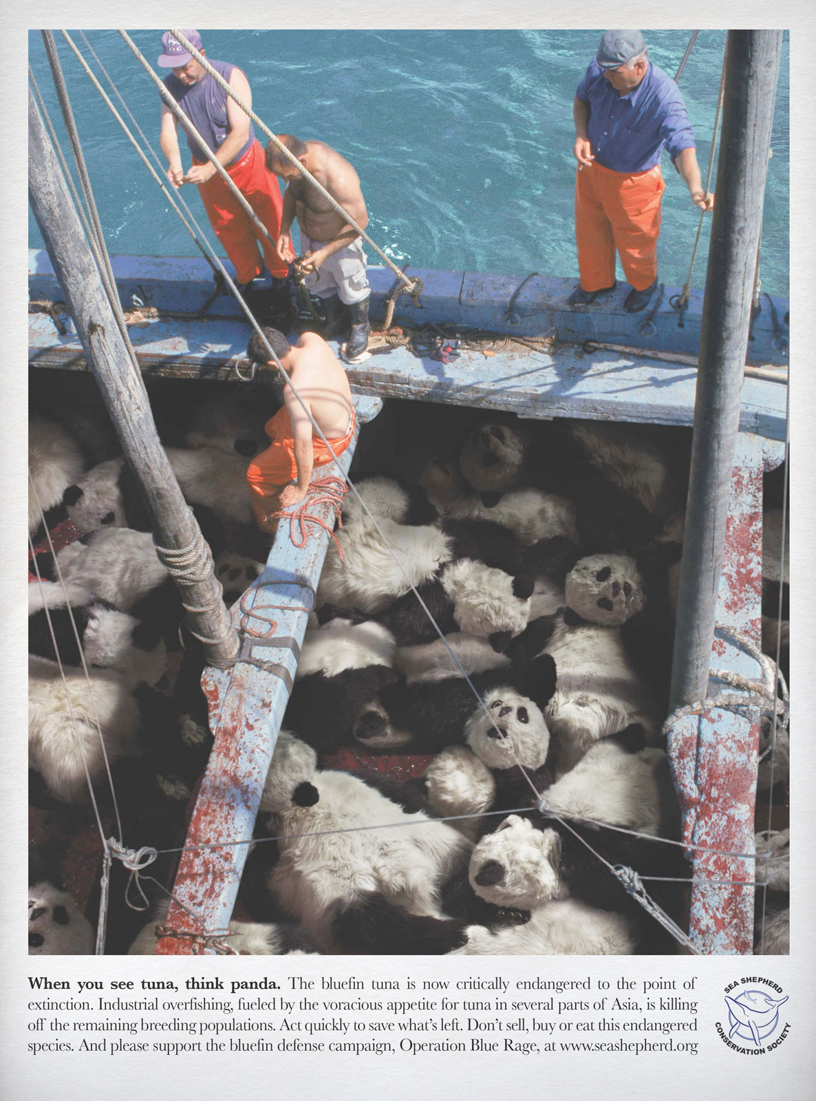 panda-thon