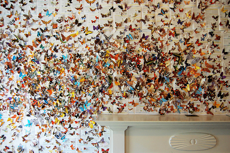 papillons-cheminee
