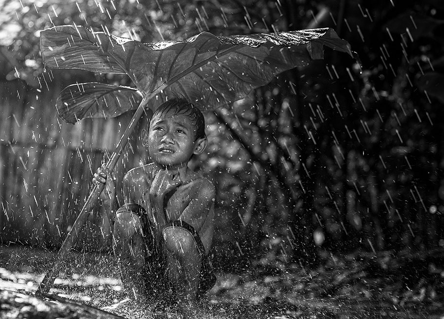 pluie-feuille-abris