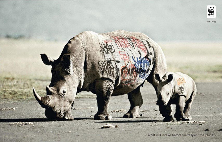 rhino-graff