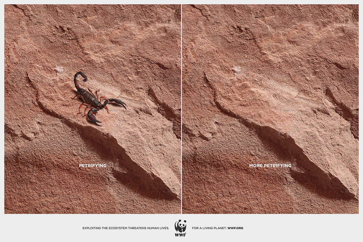 scorpion