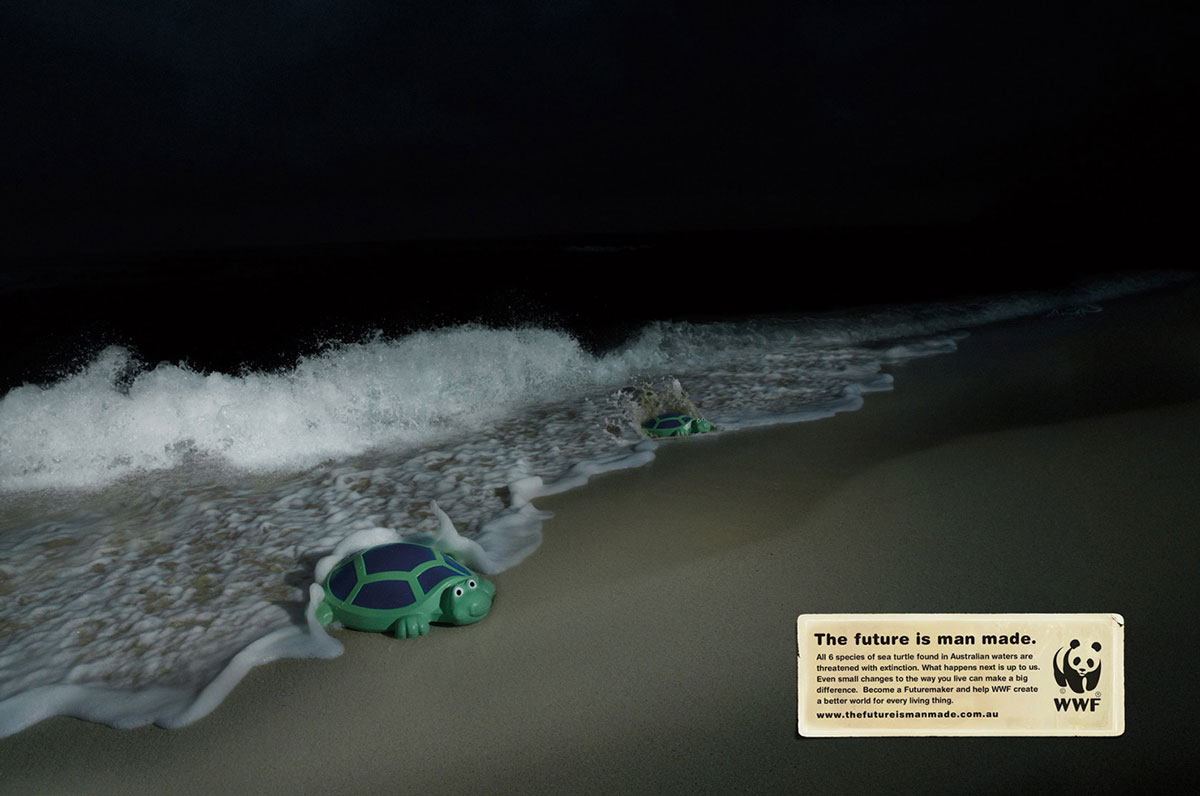 tortue-bouee