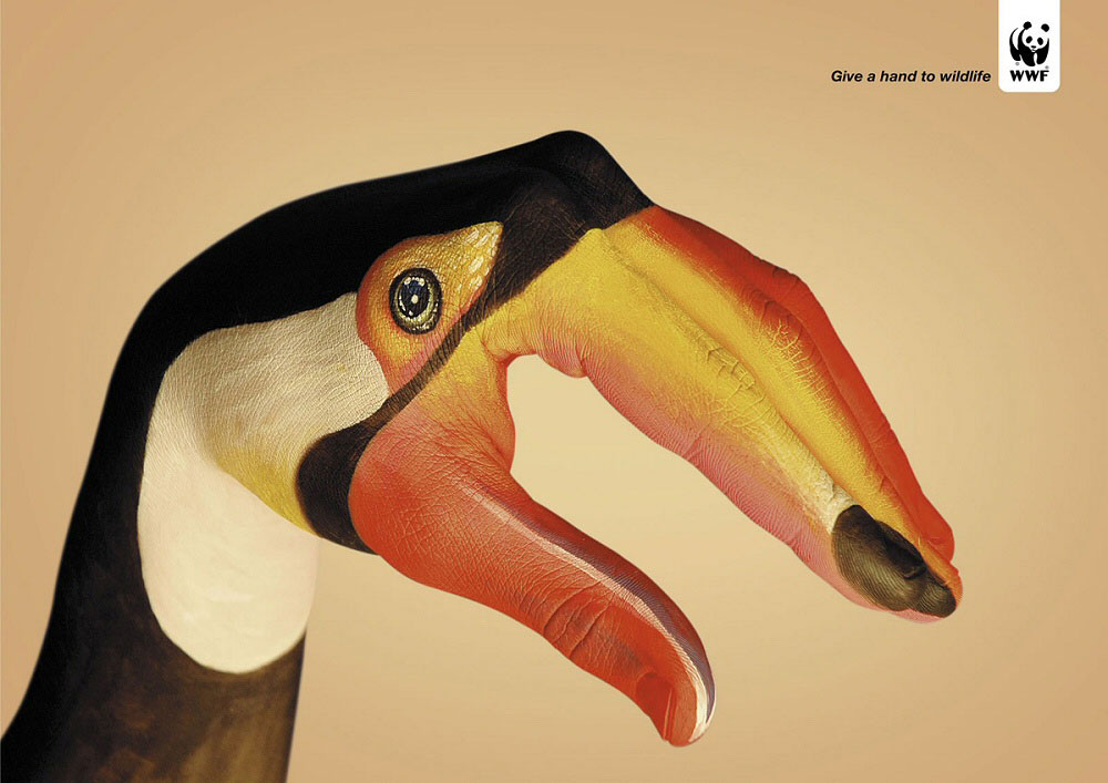 toucan-peint-main