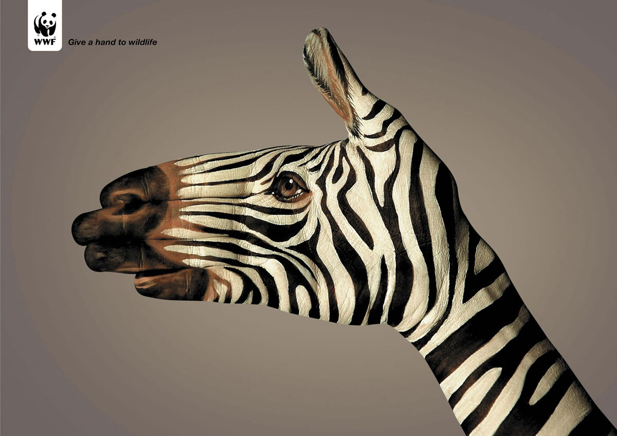 zebre-main
