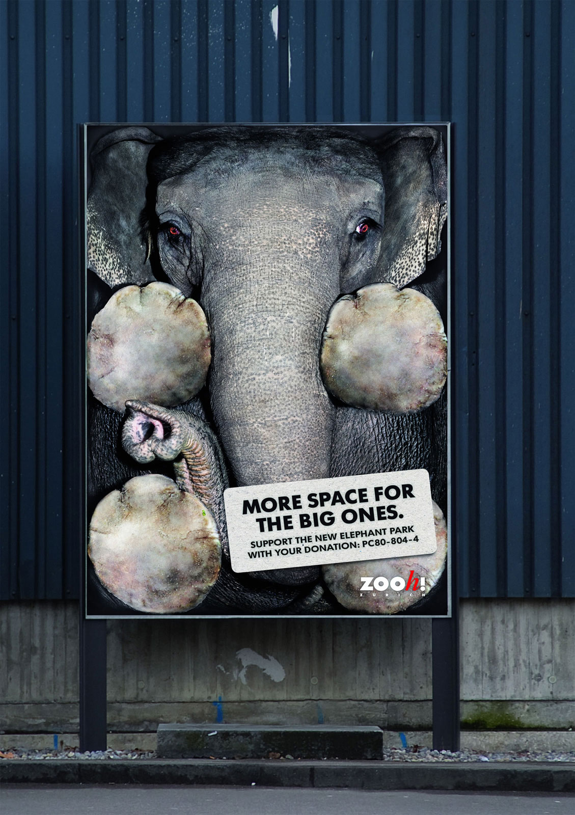 zoo-zurich-elephant
