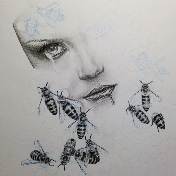 abeilles