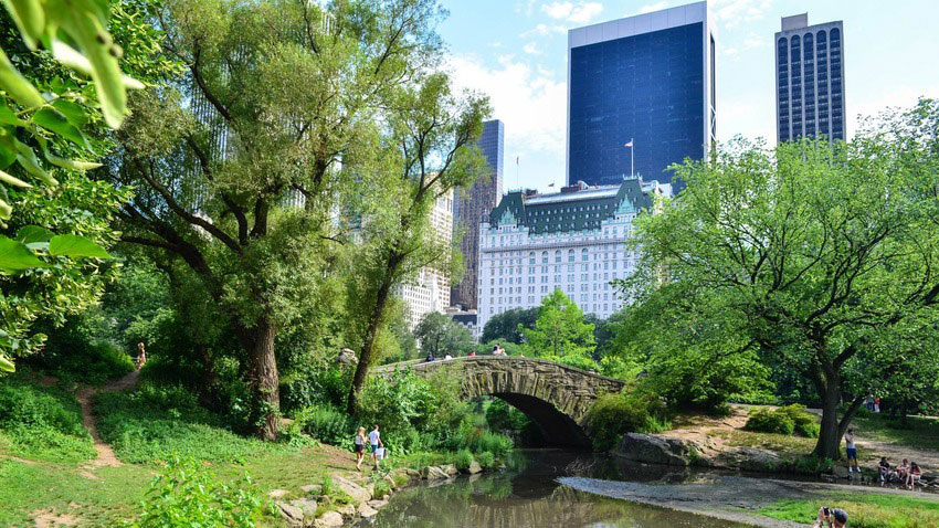 central-park