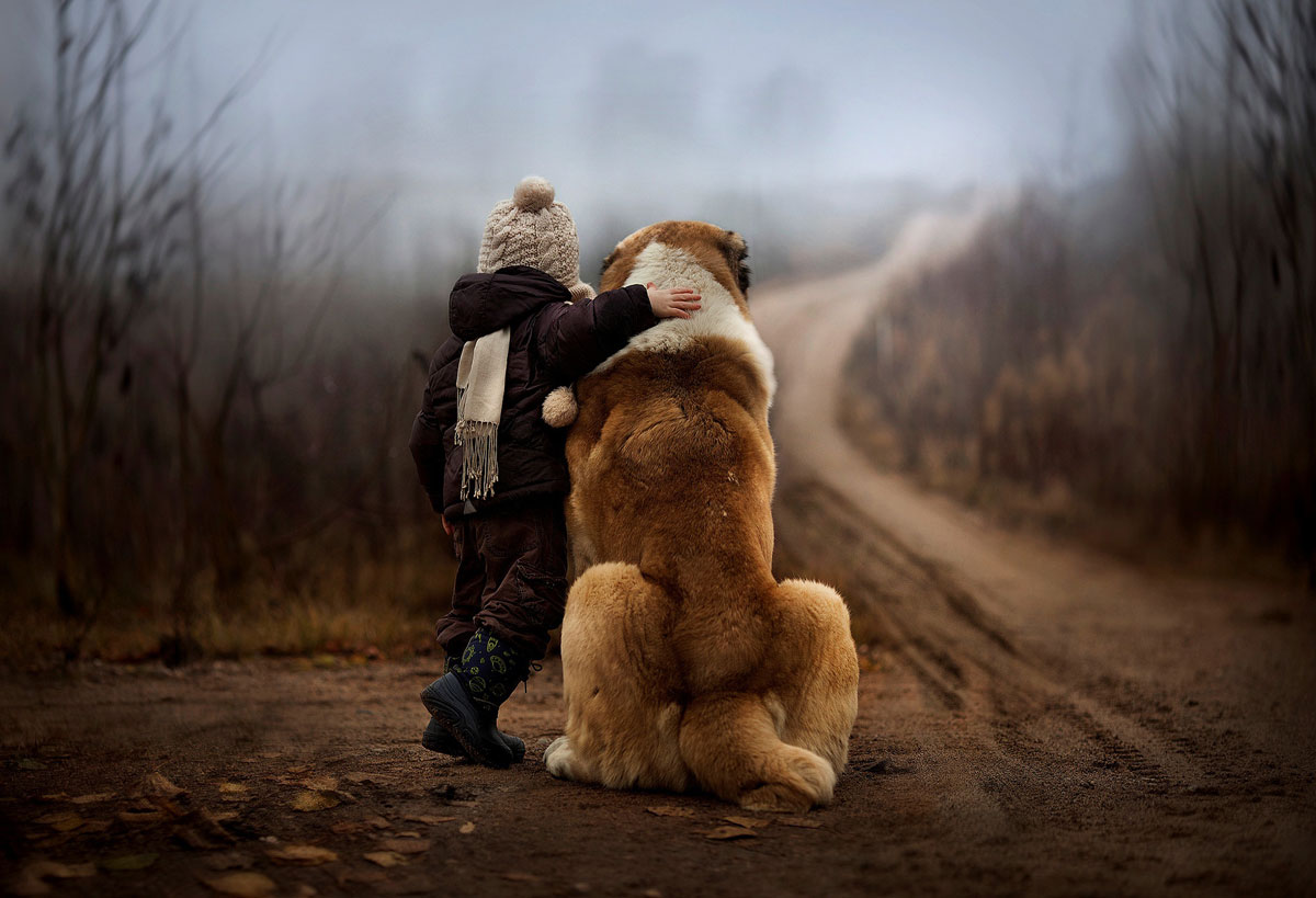 champ-chien-bebe