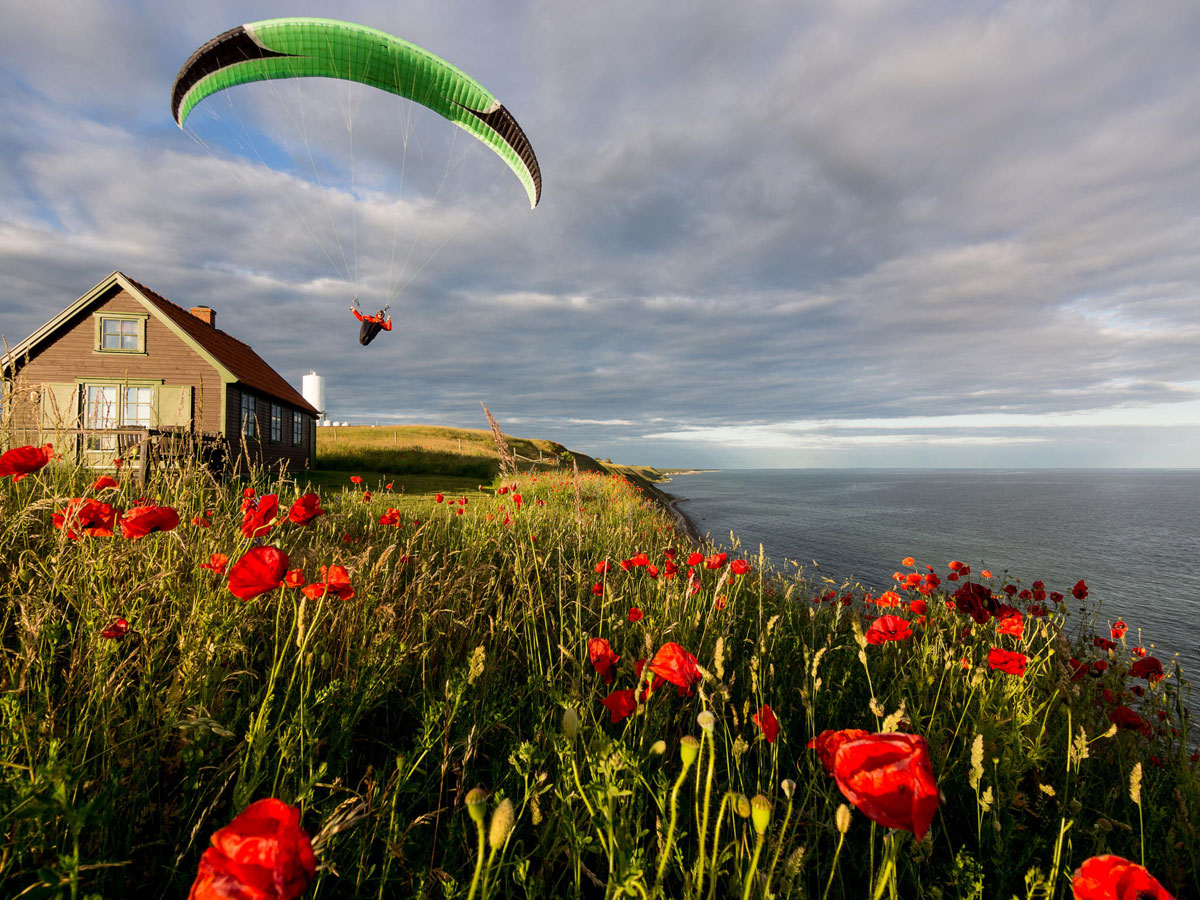 parachute-champs-coquelicots