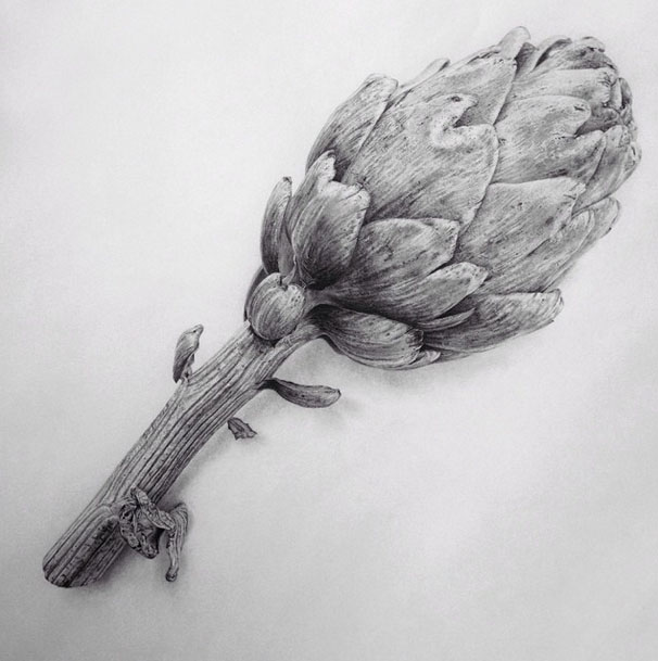 plante