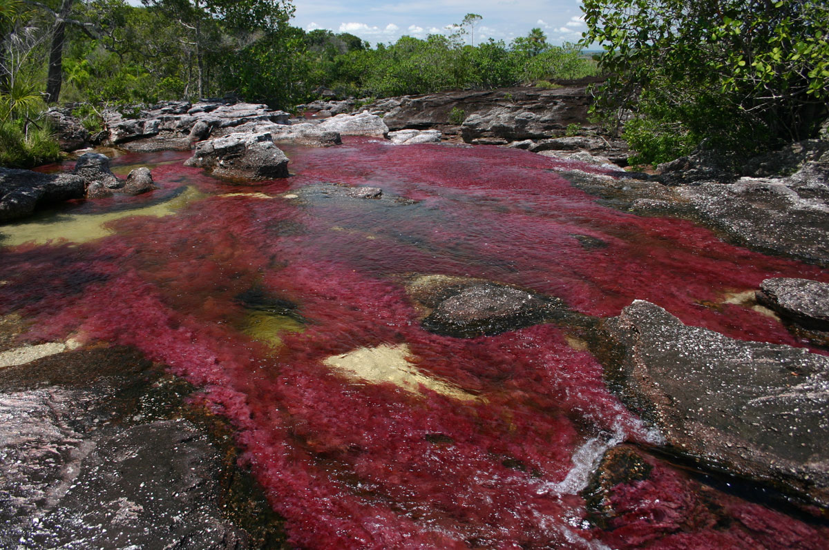 riviere-enchantee-colombie
