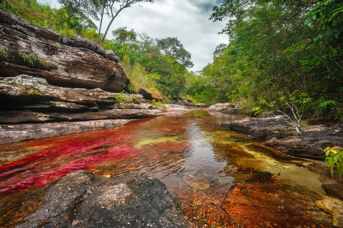 riviere-multicolore