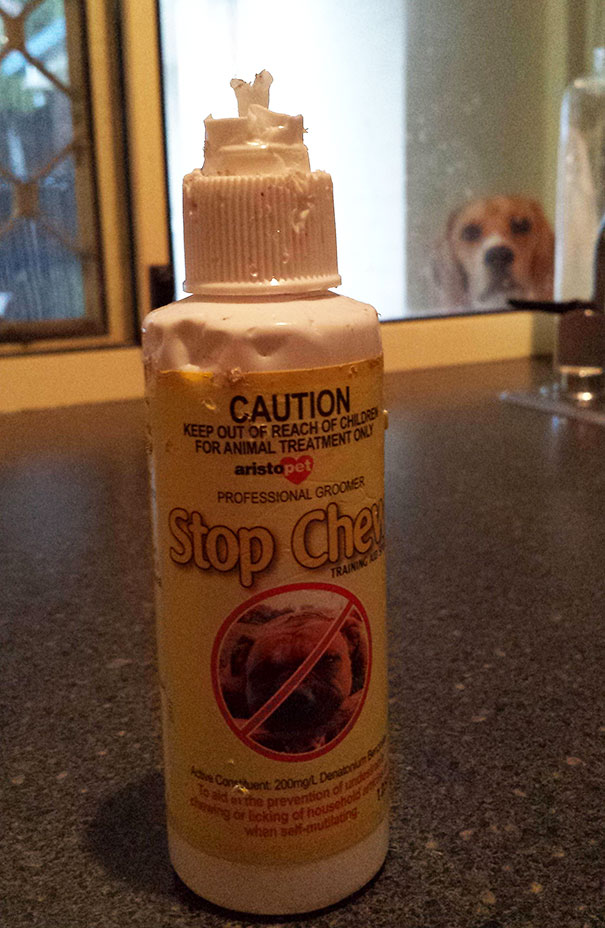 spray-chien-machouille-ironie-humour