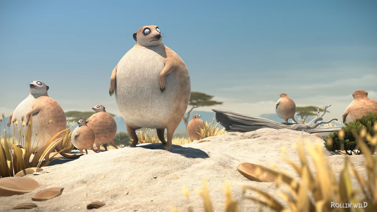 suricates-rochers