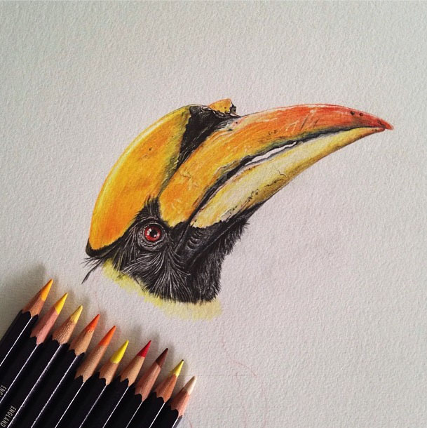 tete-oiseau