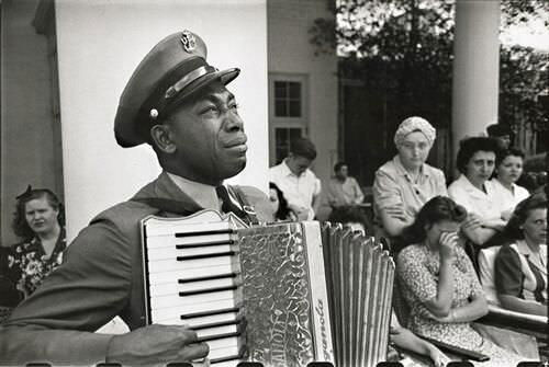 accordeoniste