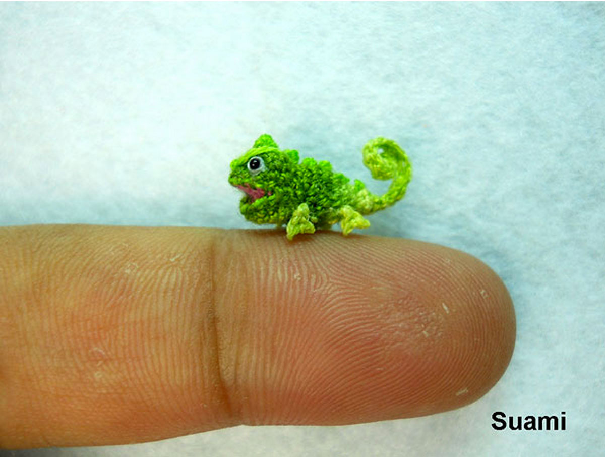 cameleon