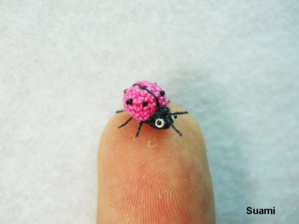 coccinelle