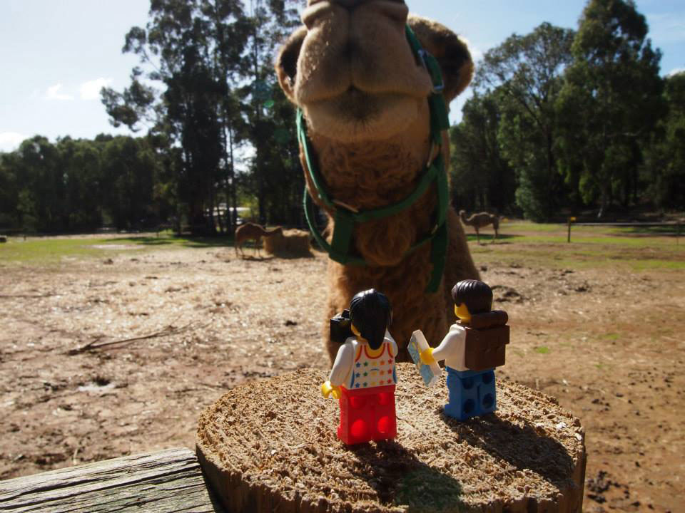 lego-couple-chameau