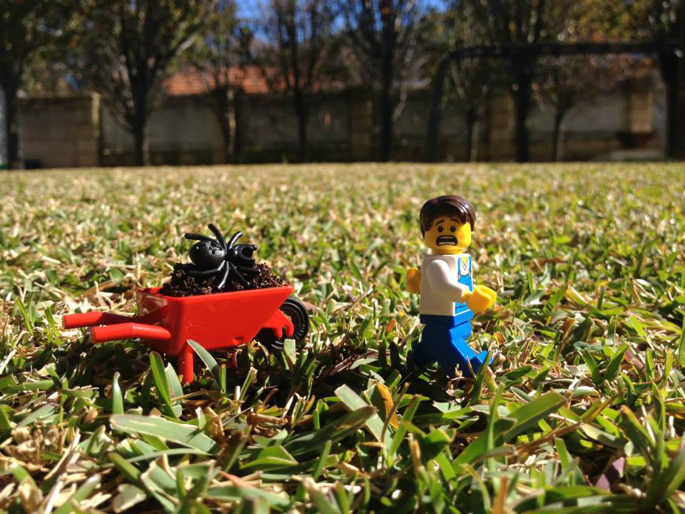 lego-jardinage-brouette-araignee