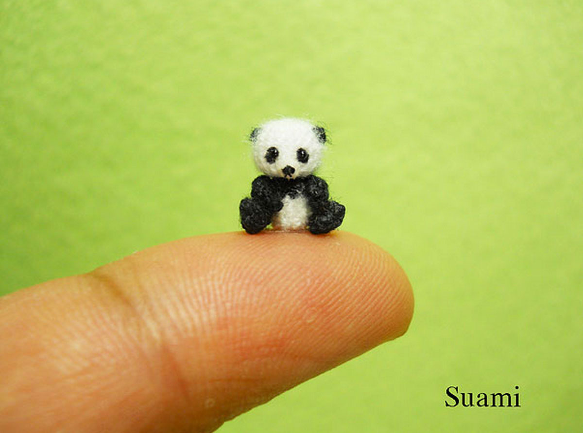 panda