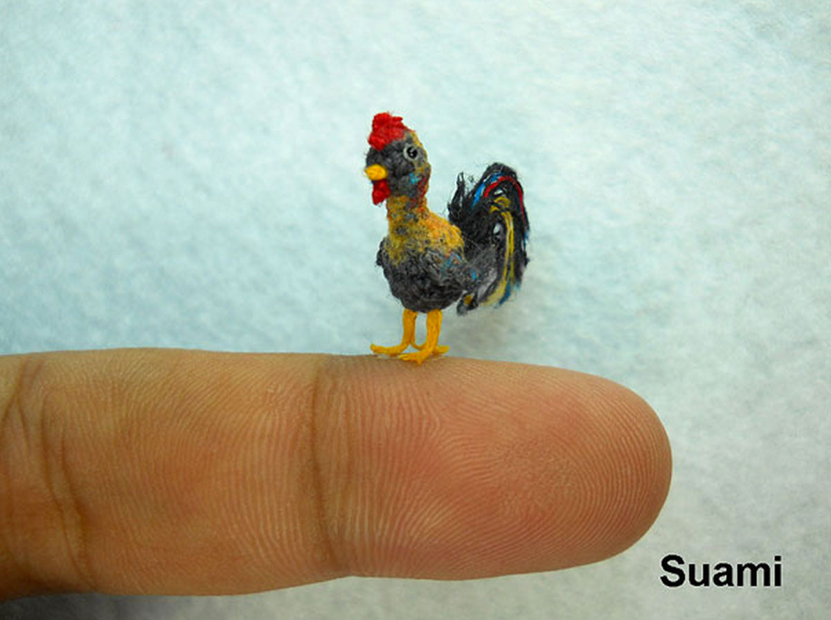 coq