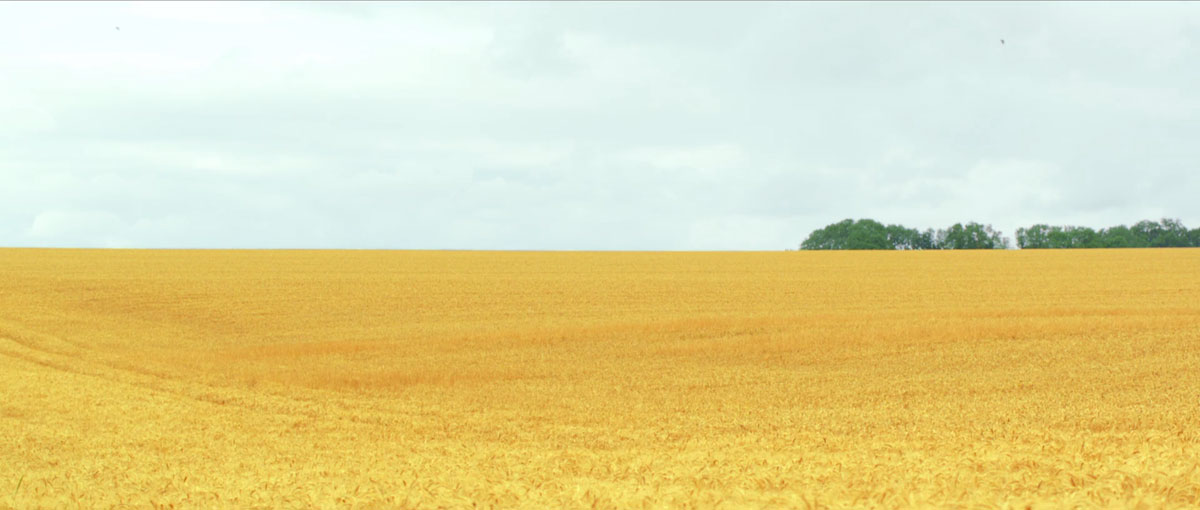 prairie