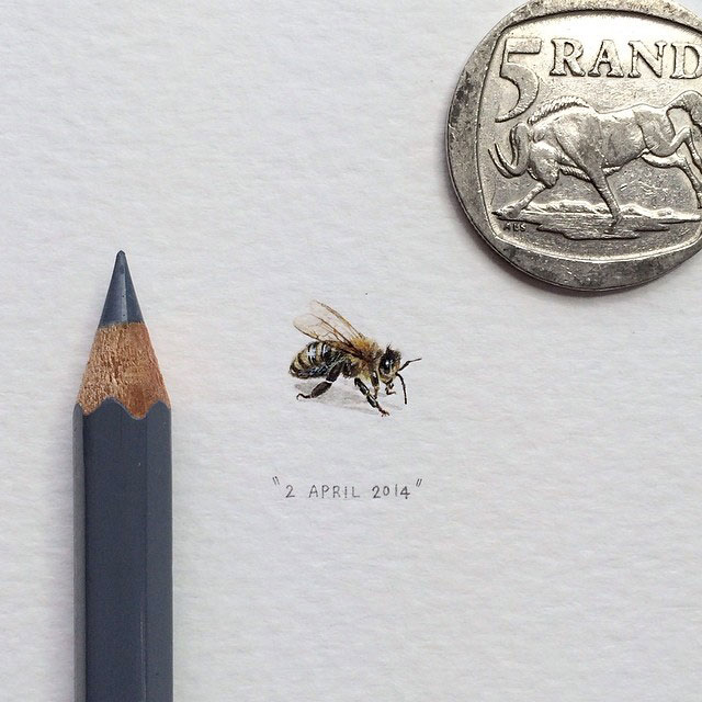 abeille