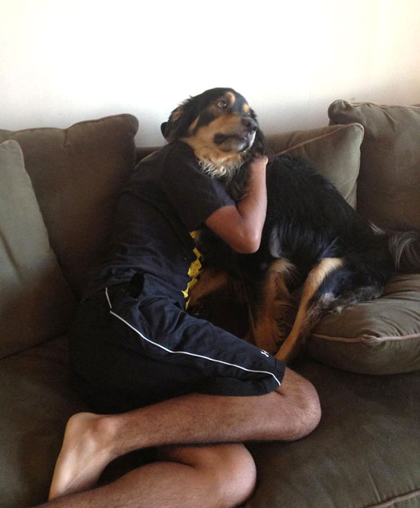 calin-chien-maitre