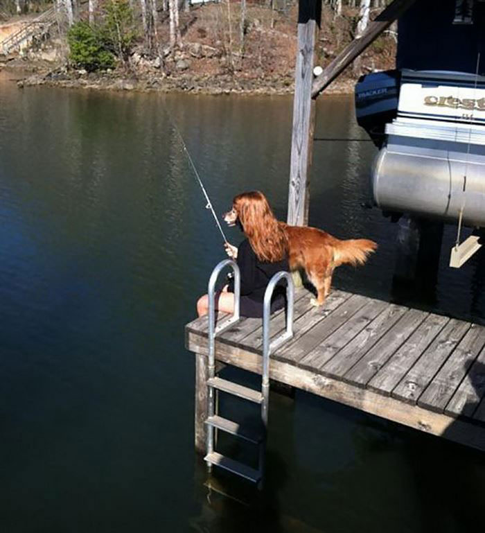 chien-peche