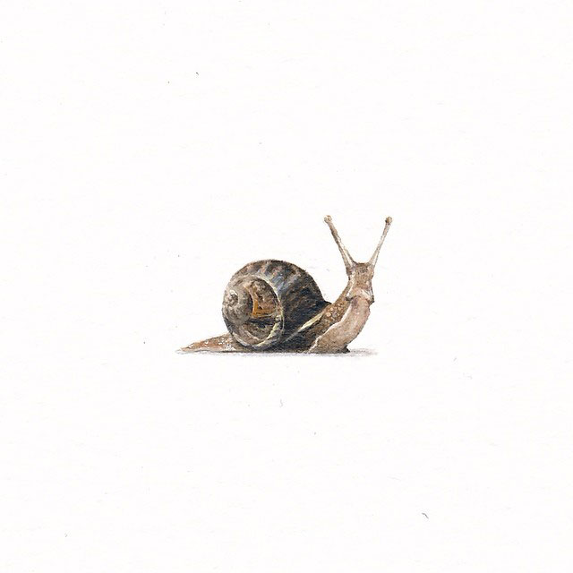 escargot