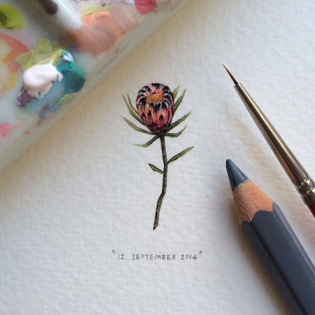 fleur-rose