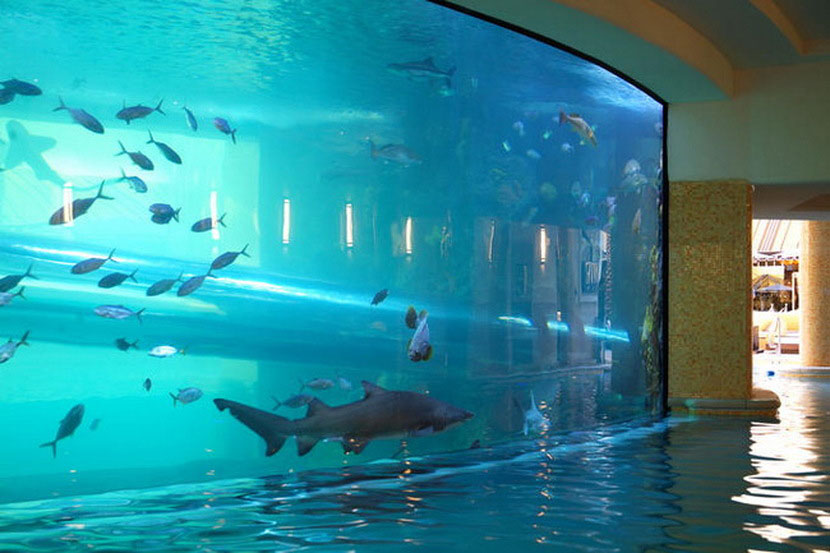 golden-nugget-piscine-las-vegas