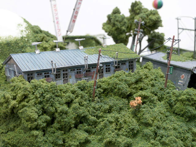 habitations-dans-vegetation