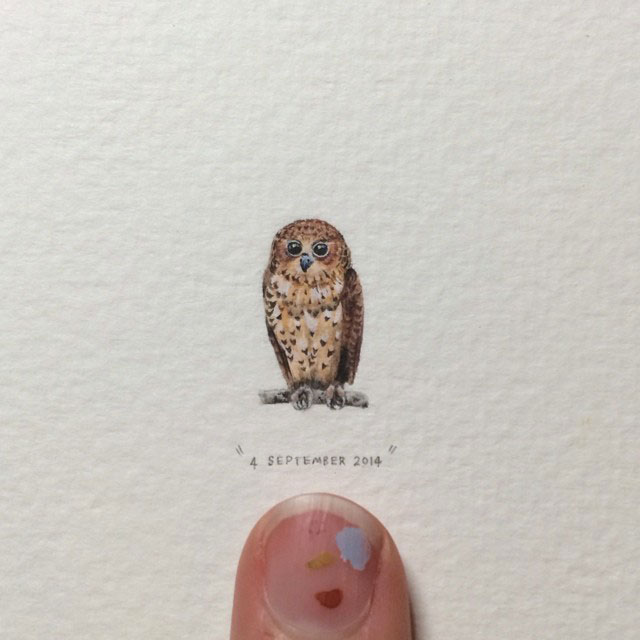 hiboux-marron