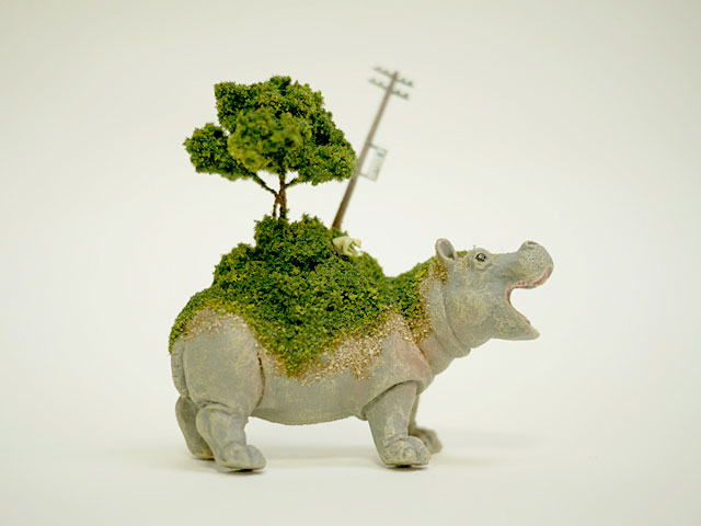 hippopotame