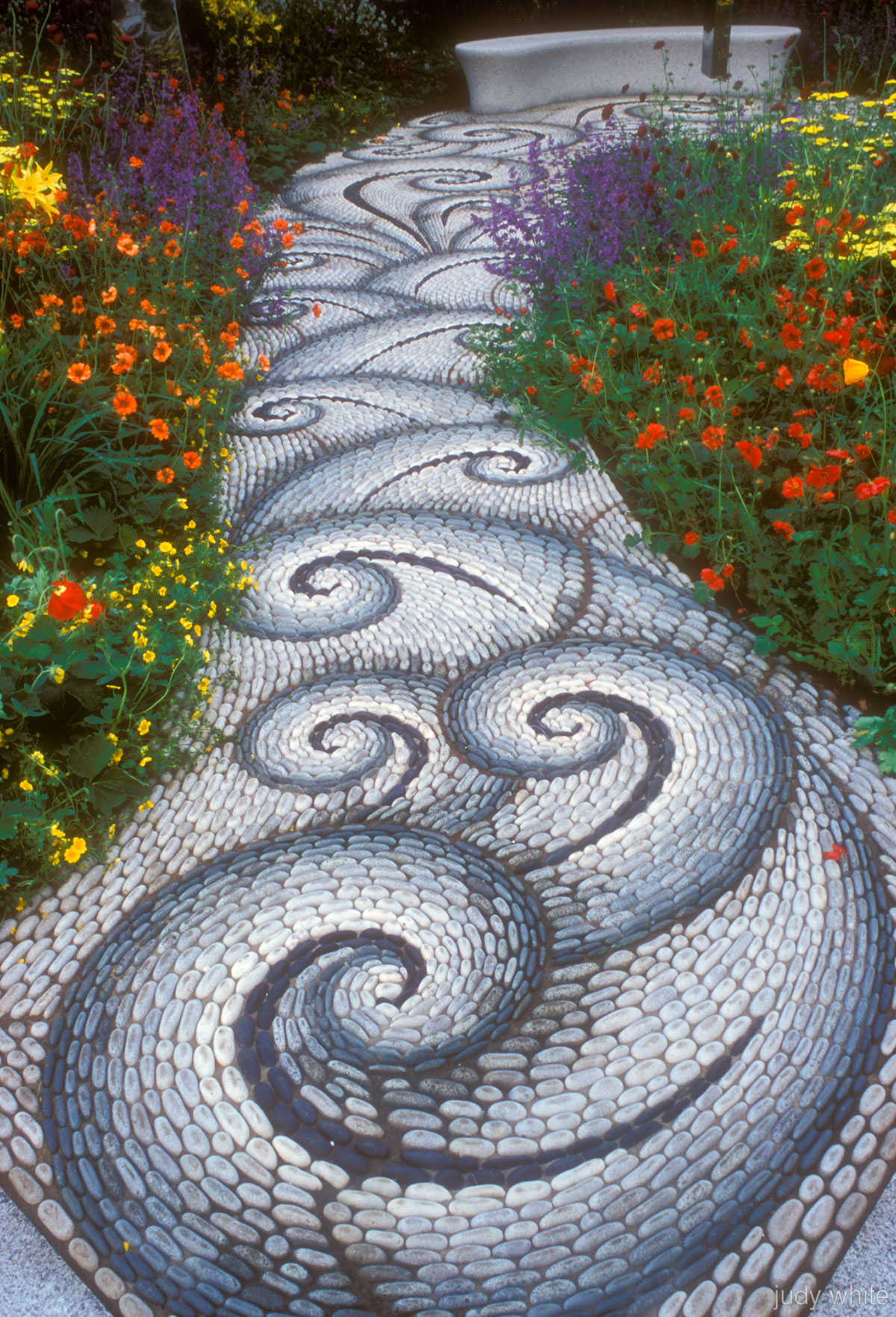 joncquille-parterre