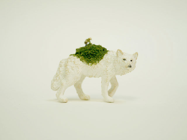 loup-blanc