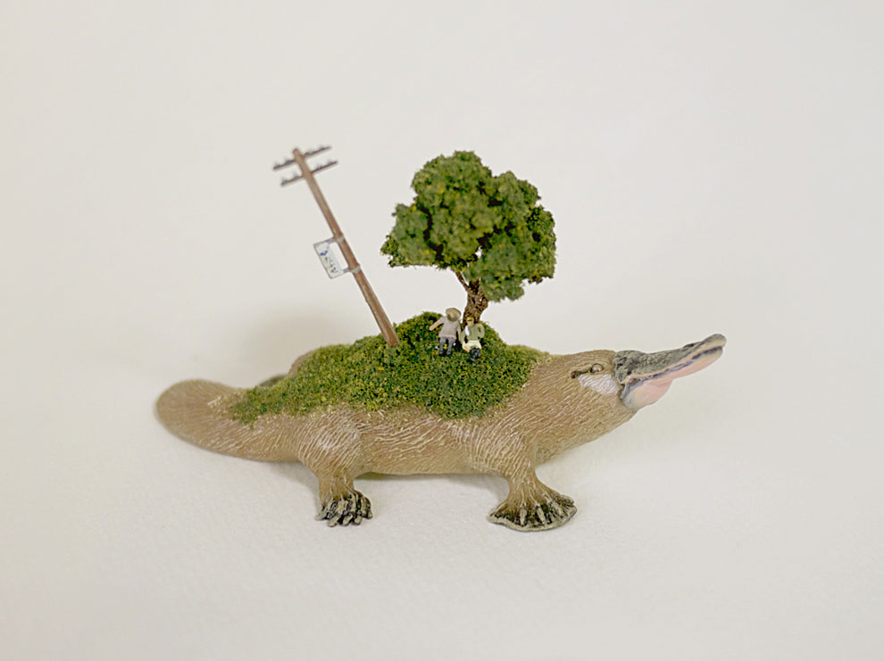 ornithorynque