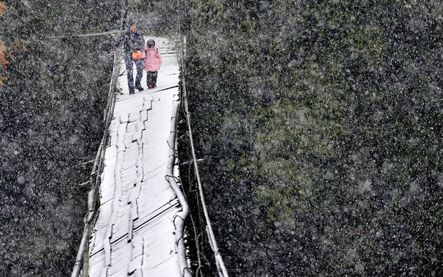 pont-neige