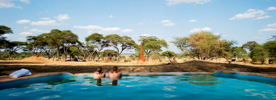 sanctuary-swala-tanzania