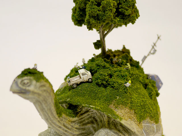 tortue-carapace-maquette