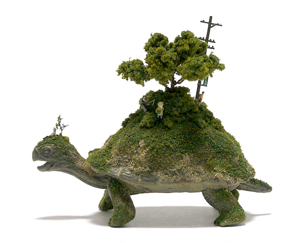 tortue-dos-vegetation