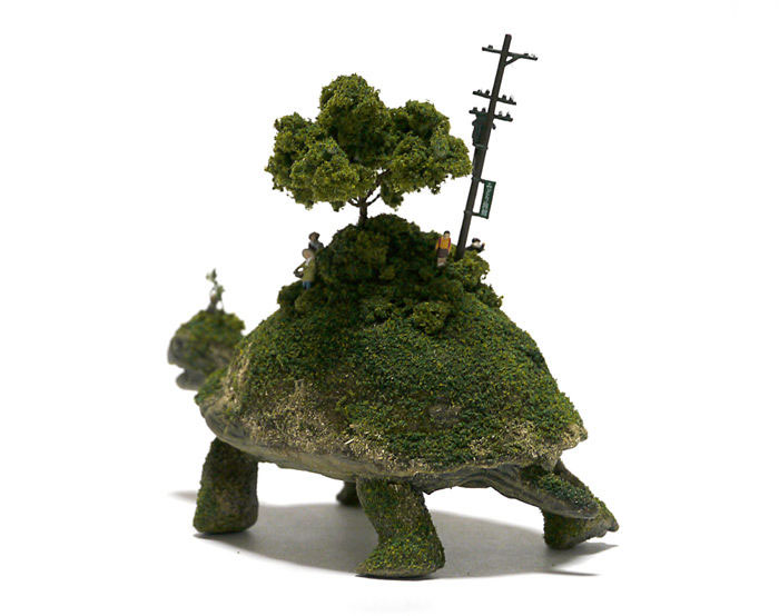 tortue-dos