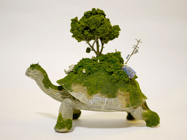 voitures-arbres-champs